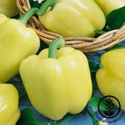 pepper-seeds-sweet-diamond