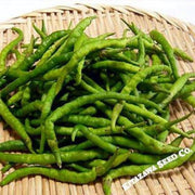pepper-seeds-sweet-himo-togarashi