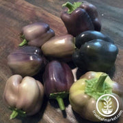 pepper-seeds-sweet-pinot-noir-f1