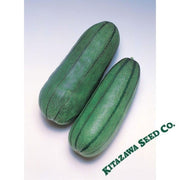 pickling-melon-seeds-green-striped