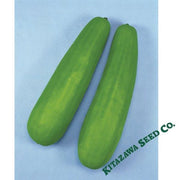 pickling-melon-seeds-katsura-giant