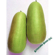 pickling-melon-seeds-oshiro-uri-numane