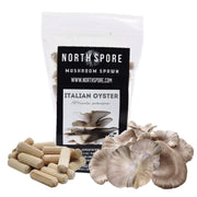 Italian Oyster Mushroom Plug Spawn  Bag