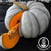 jarrahdale-pumpkin