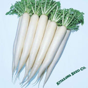 radish-seeds-april-cross-hybrid