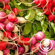 radish-seeds-crayon-colors-mix