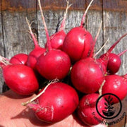 radish-seeds-early-scarlet-globe