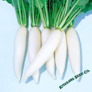 radish-seeds-everest-hybrid