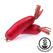 radish-seeds-fire-candle