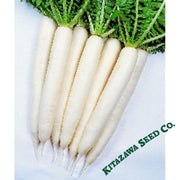 radish-seeds-minowase-summer-cross-3-hybrid