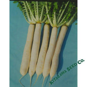 radish-seeds-nerima