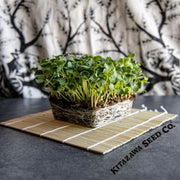 radish-seeds-nerima-microgreens