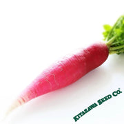 radish-seeds-red-arrow