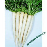 radish-seeds-tokinashi-all-season
