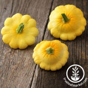 scallop-yellow-bush-squash