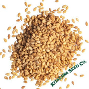 sesame-seeds-tan-kingoma