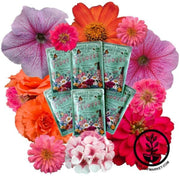 shades-of-red-and-purple-flower-seed-collection