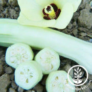 silver-queen-okra