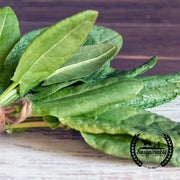 sorrel-seeds-red-apache-organic-microgreens-seeds