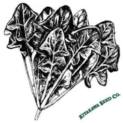 spinach-seeds-alrite-hybrid