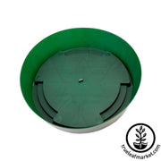 sprout-garden-part-1-base-only