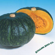 squash-seeds-japanese-winter-hokkori-133-hybrid
