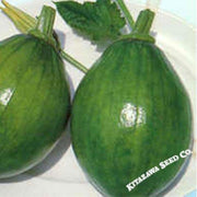 squash-seeds-korean-summer-early-bulam-hybrid