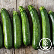 squash-seeds-summer-diamant-f1