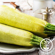 squash-seeds-summer-lebanese-white-bush