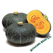 squash-seeds-winter-delica-hybrid