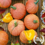 squash-seeds-winter-gold-nugget-organic