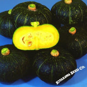 squash-seeds-winter-kurinishiki-hybrid