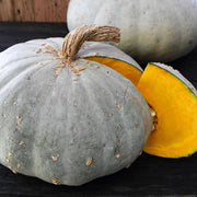 squash-winter-sweet-meat-seeds