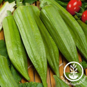 star-of-david-okra