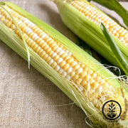 Sweet Corn Inspiration Hybrid