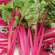 swiss-chard-seeds-flamingo