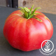 tomato-brandywine-pink-organic-seeds