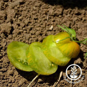 tomato-green-zebra-organic-seeds