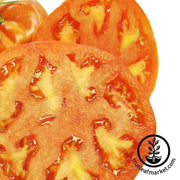 tomato-hamson-dx-52-12-seeds