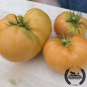 tomato-seeds-amana-orange-organic