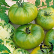 tomato-seeds-aunt-rubys-german-green-organic