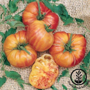 tomato-seeds-big-rainbow