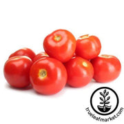 tomato-seeds-burgundy-traveler