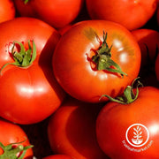 tomato-seeds-cal-ace-vf