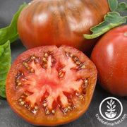 tomato-seeds-chefs-choice-purple-f1