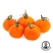 tomato-seeds-cherry-orange
