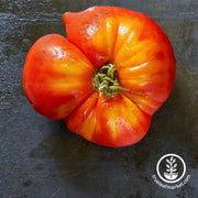 tomato-seeds-flame