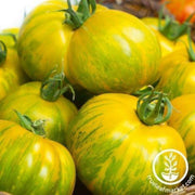 tomato-seeds-green-zebra-giant