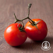 tomato-seeds-manitoba