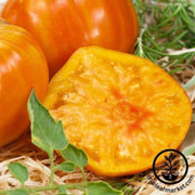 tomato-seeds-marvel-stripe